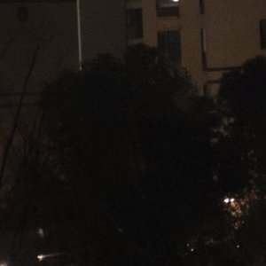 学生时代的双向奔赴