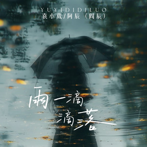 雨一滴滴落