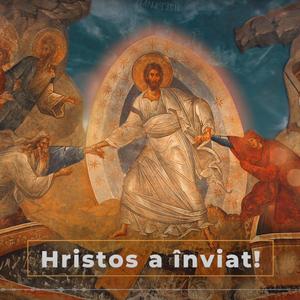 E ziua bucuriei az’ (Andrei Sălăjan