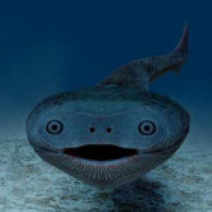 Sacabambaspis