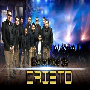 Estamos de Fiesta
