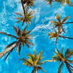 环游夏天（纯音乐）