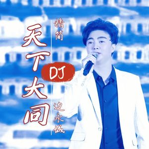 天下大同DJ （精简版）