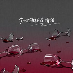 伤心酒杯痴情泪（烟嗓男版）