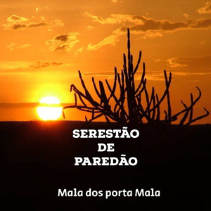 Mala dos Porta Mala