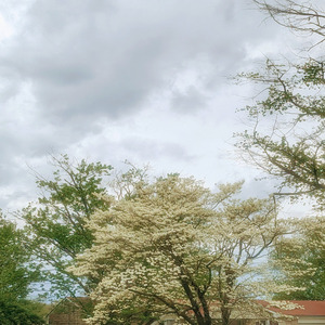 Weekends (2026 Remastered Version)