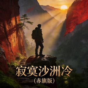 寂寞沙洲冷