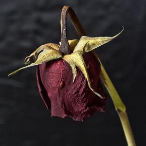 Lost Myself (feat. Branchey)