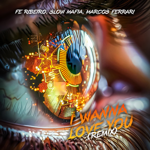 I Wanna Love You (Remix)