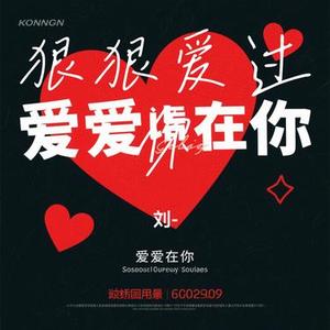 狠狠爱过你 (刘- Remix)