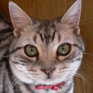 No.59 夜の公園 (弾き語り)