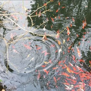 我想你要走了（Bye）