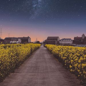 宇宙中的一粒尘埃