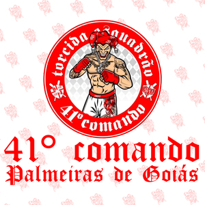 41° Comando Palmeiras de Goiás