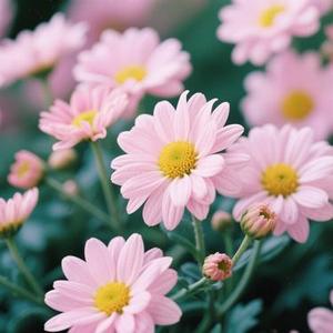 不将就 (Cover 李荣浩)