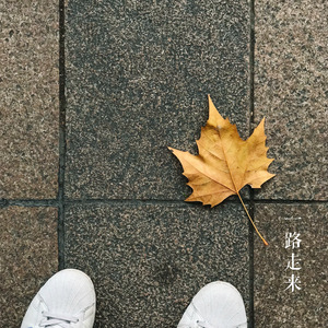 你是否还会悲伤的听着这一首歌，和我一起把梦做完