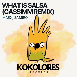 What Is Salsa (CASSIMM Extended Remix)