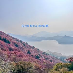 走过所有你走过的风景