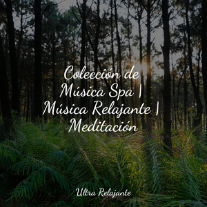 Amanecer De La Inocencia