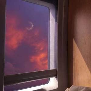 盆栽（翻自 姜铭杨）