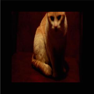 Supermercado (Acoustic Session)