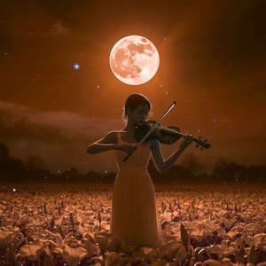 Moonlit Hills Carry Peace