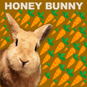 Your Heart At Mind (feat. Ashley Apollodor)