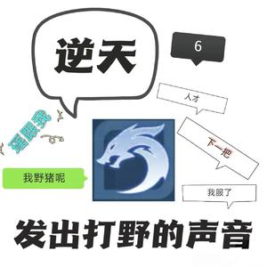 举报打野