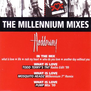 What Is Love (Mosquito Headz - Millennium 7" Remix)