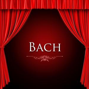 Brandenburg Concerto No. 2 in F Major, BWV 1047: II. Andante