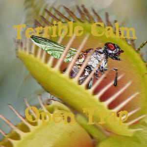 Open Trap (Instrumental) (Instrumental)