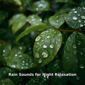 Night Rain, Pt.28