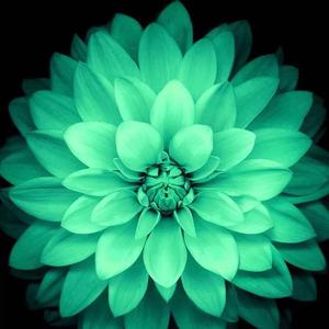 xoh 电子琴伴奏（合集）