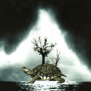 Guise Of The Eskimo Curlew