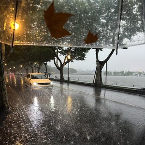 西湖雨(那是在某年的秋)