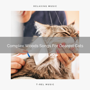 Calming Woods Songs For Our Cats