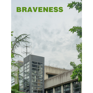 Braveness（2021 Version）