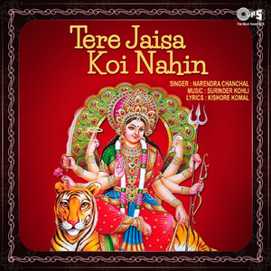 Tu Badi Dayalu Hai Mata