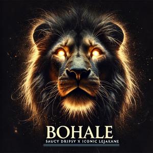 Bohale