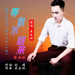 等你不回来 (舞曲版)
