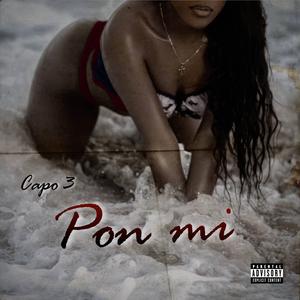 Pon mi