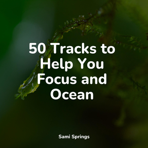 Pond, Splashing Water, Pebbles