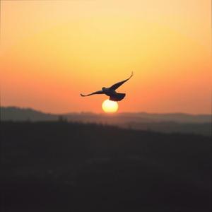 Сонце Низенько