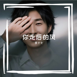 你走后的风