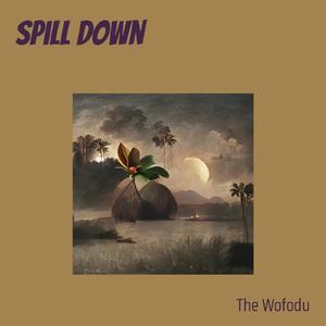 Spill Down
