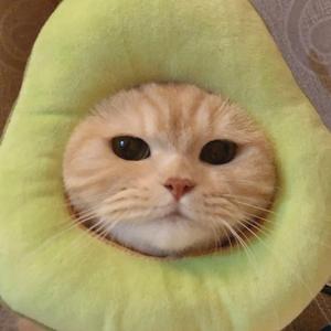 零几年听的情歌（翻自 群星）