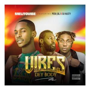 vibe e dey body (feat. Posh BLJ & Dj nasty)