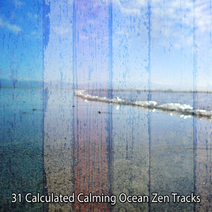 太阳海沙与精神