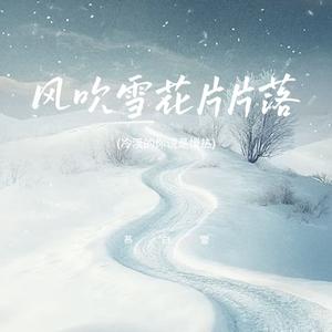 风吹雪花片片落 (冷漠的你说是慢热) (说好不哭版)