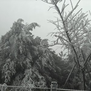 你也曾说害怕失去我（第二版）